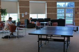 Ping Pong Table in the Cave Image